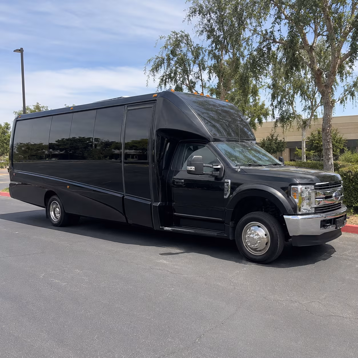 hit every photo stop in your garland party bus before the dance